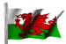Welsh Flag